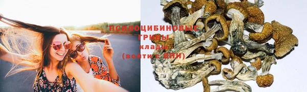СК Богородицк