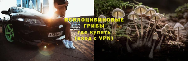 ПСИЛОЦИБИНОВЫЕ ГРИБЫ Богородск
