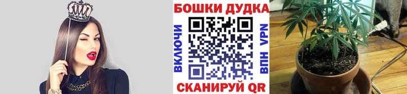 Бошки Шишки OG Kush  Чегем 